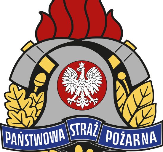 Logo psp