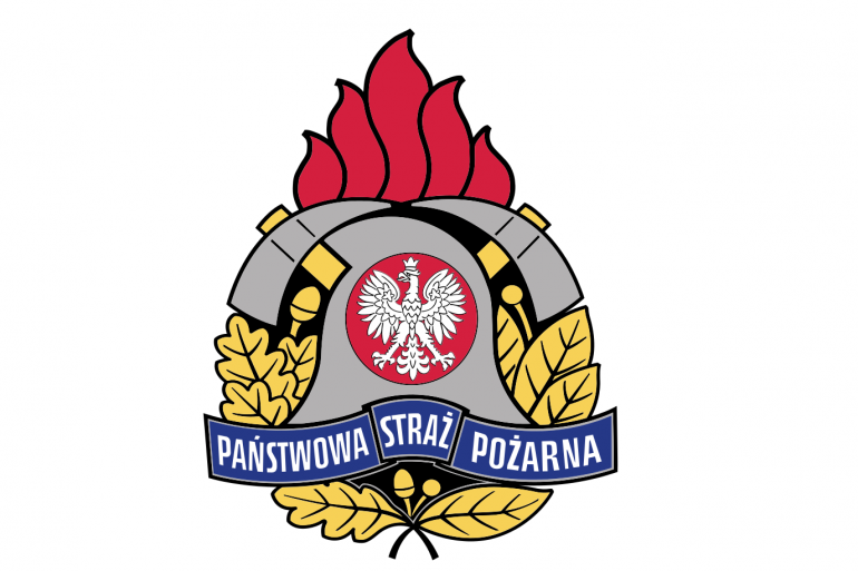 psp logo